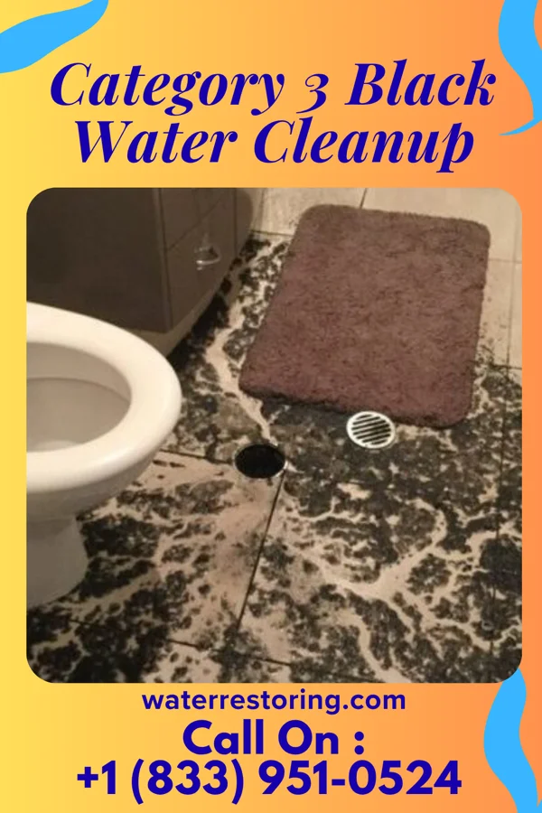 Category 3 Black Water Cleanup in Marysville, MI
