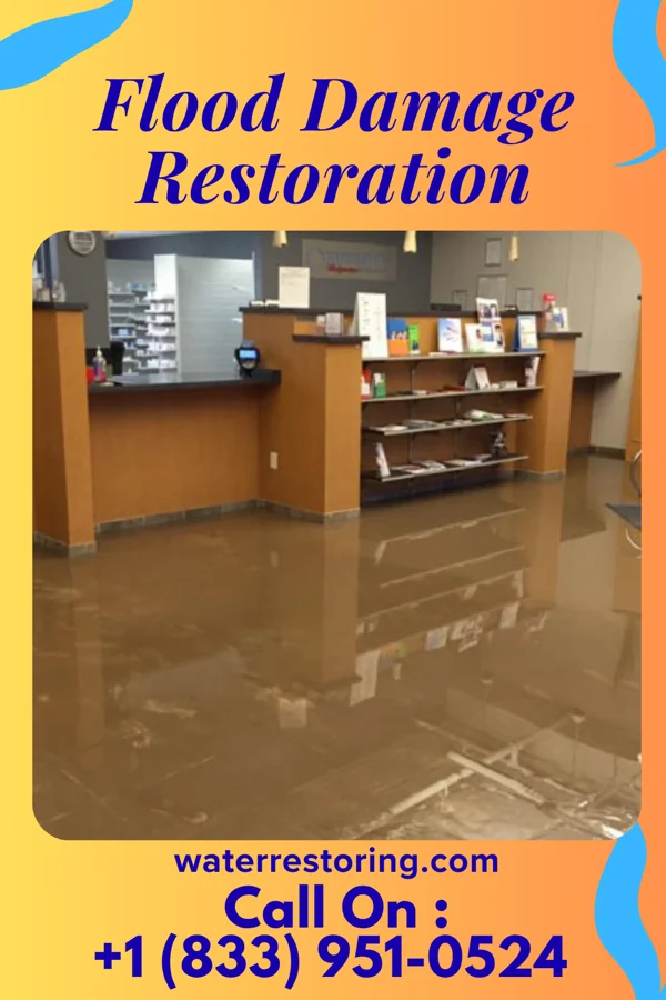 Flood Damage Restoration in Marysville, MI