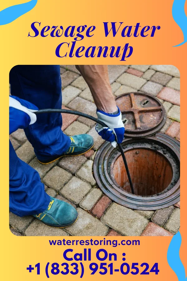 Sewage Water Cleanup in Marysville, MI